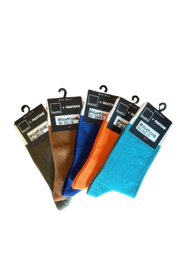 MuseARTa PANTONE Socks, 5 Pairs, Size 36-40
